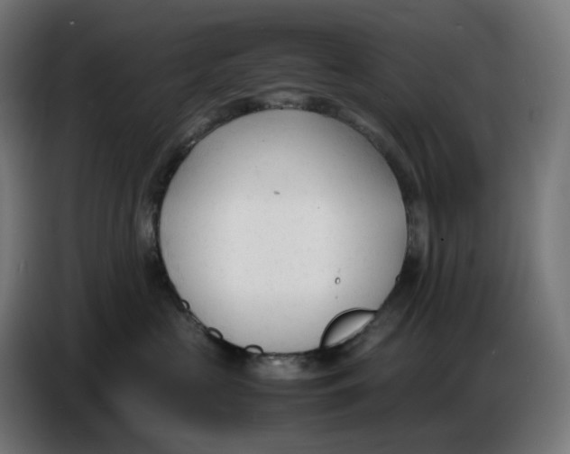 X0000086720573200705041330