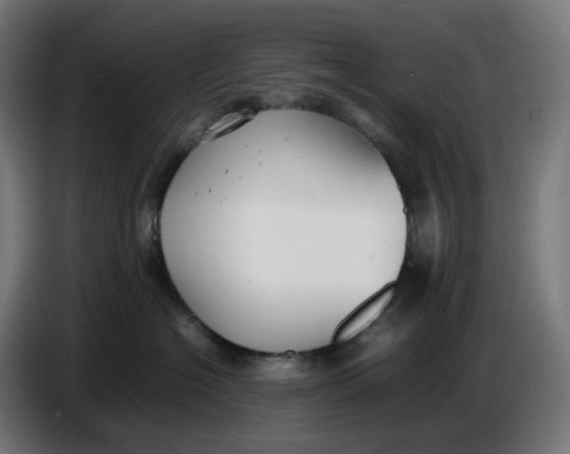 X0000086720574200705041330