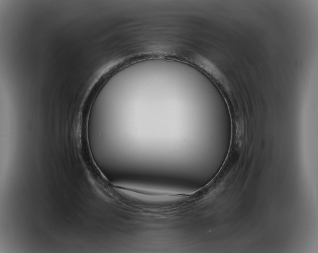 X0000086720580200705041329