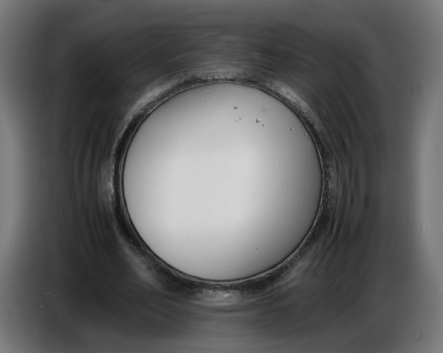 X0000086720582200705041329
