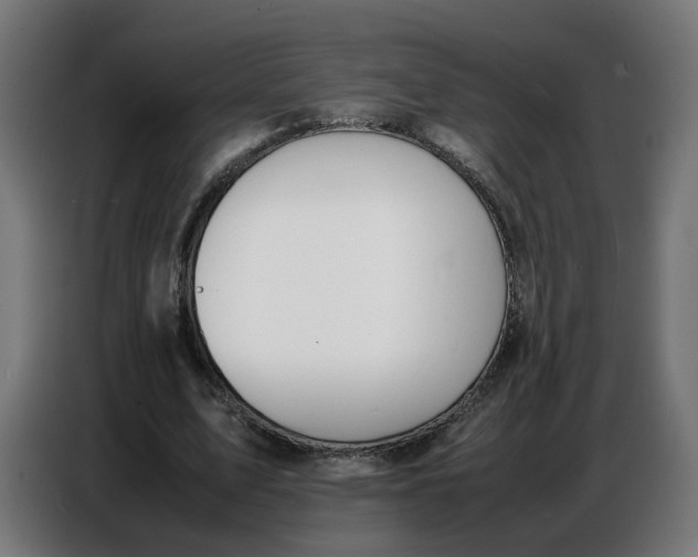 X0000086720583200705041329