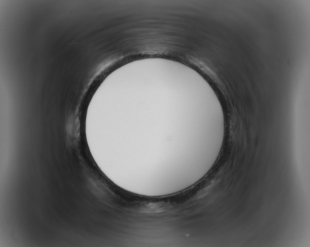 X0000086720584200705041329