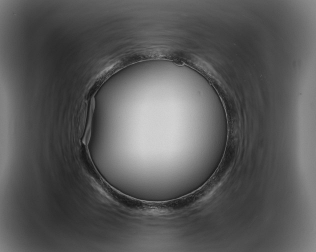 X0000086720585200705041329