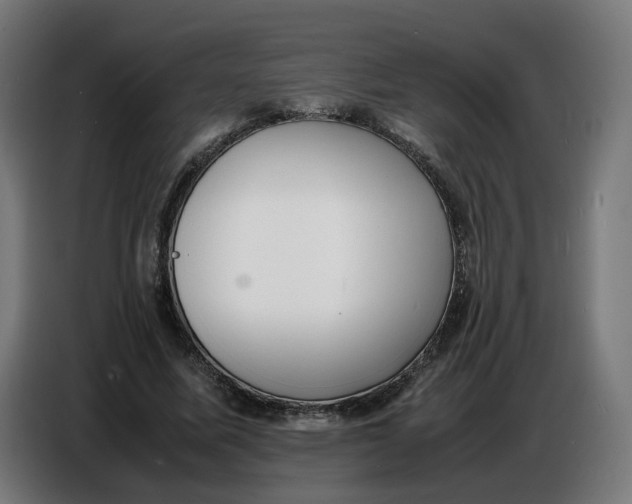 X0000086720587200705041329