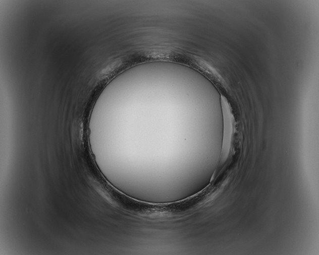 X0000086720589200705041329