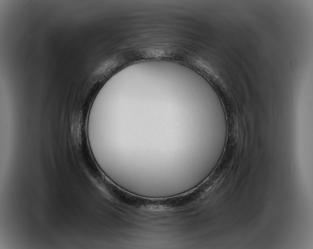 X0000086720590200705041329