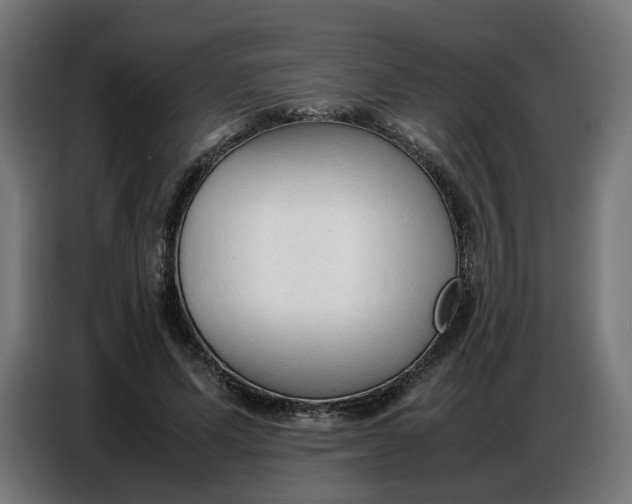 X0000086720591200705041329
