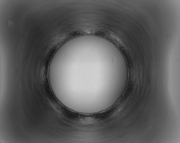 X0000086720594200705041329