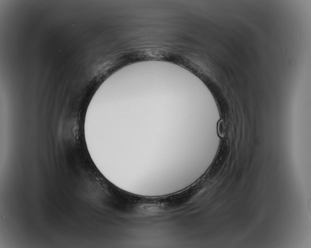 X0000086720595200705041329
