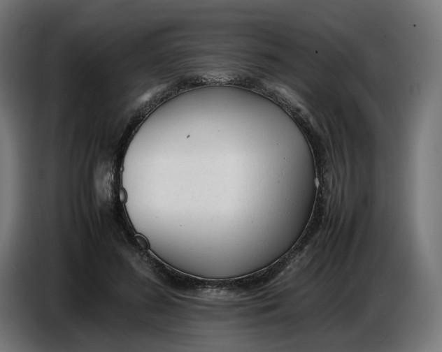 X0000086720596200705041329