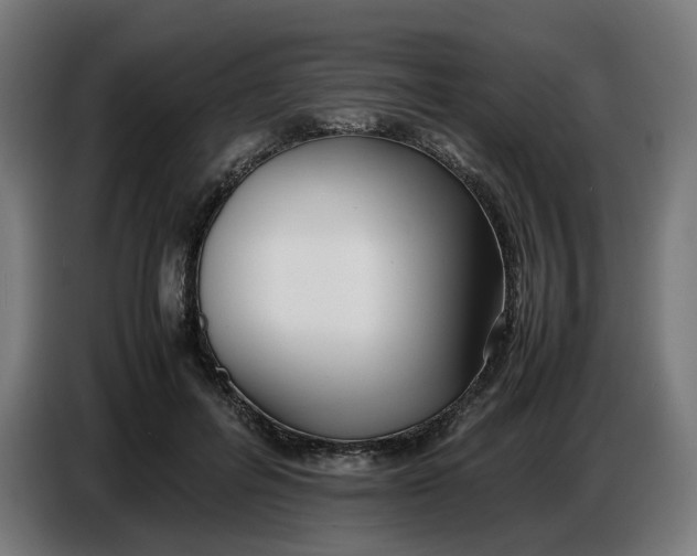 X0000086720600200705041329