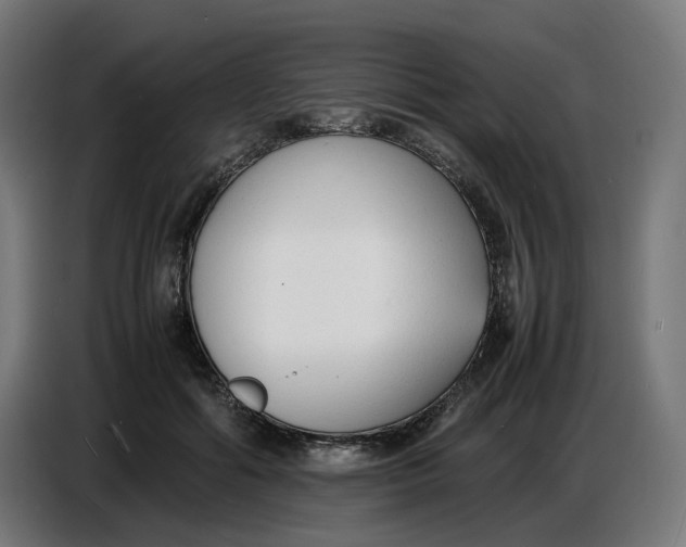 X0000086720602200705041329