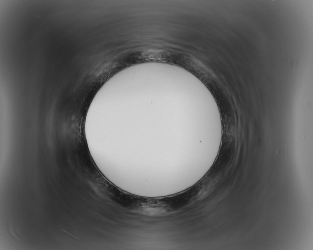 X0000086720603200705041329