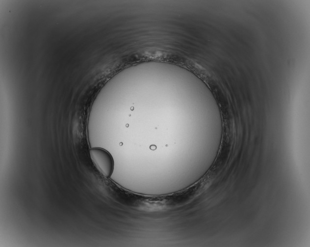 X0000086720606200705041329
