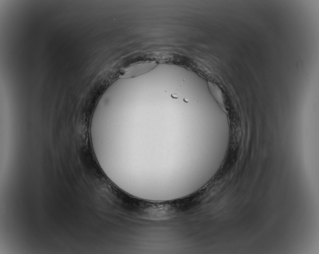 X0000086720609200705041329