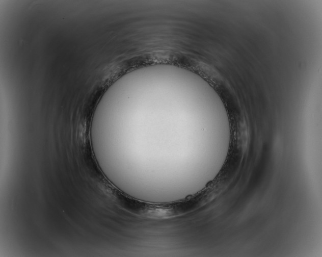 X0000086720610200705041329