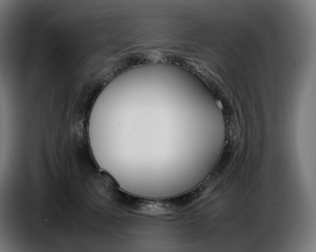 X0000086720611200705041329