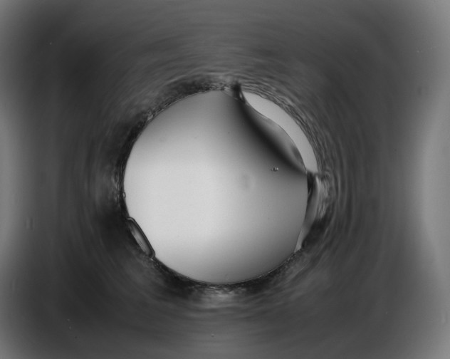 X0000086720613200705041329