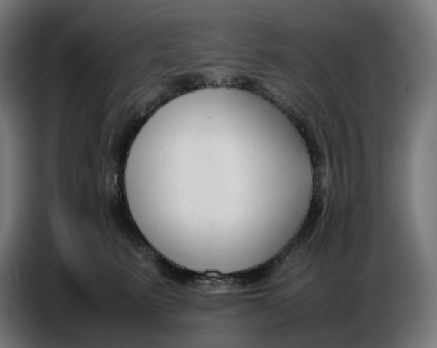 X0000086720615200705041329