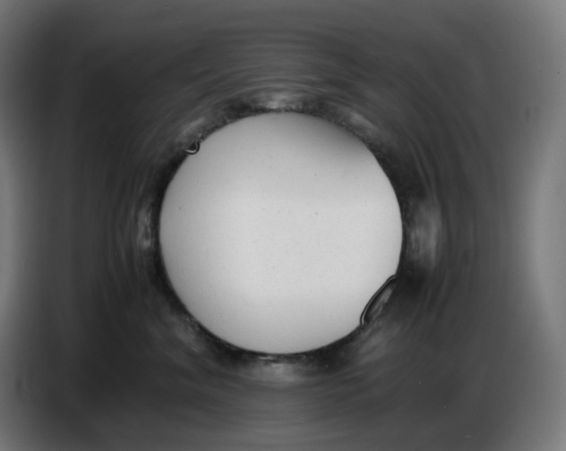 X0000086720620200705041329
