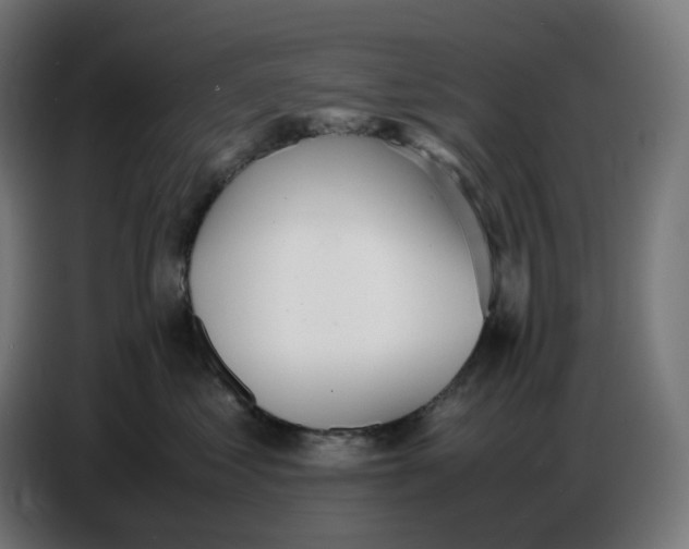 X0000086720621200705041329
