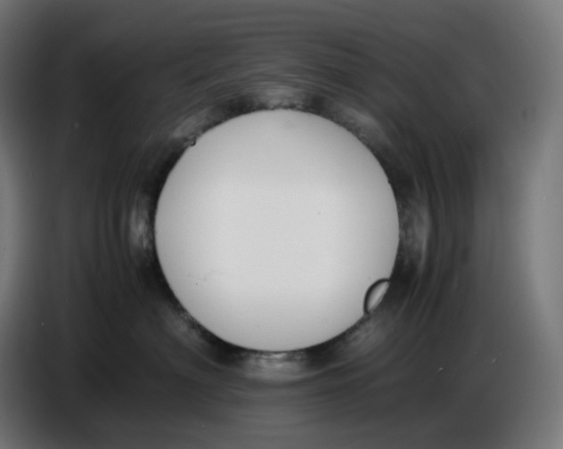 X0000086720622200705041329
