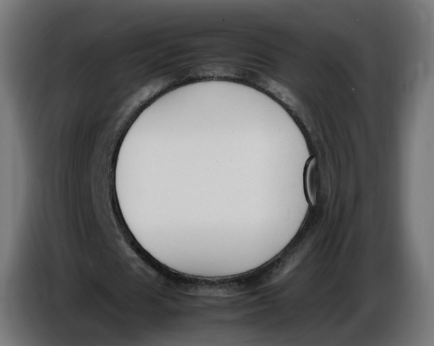X0000086720625200705041328