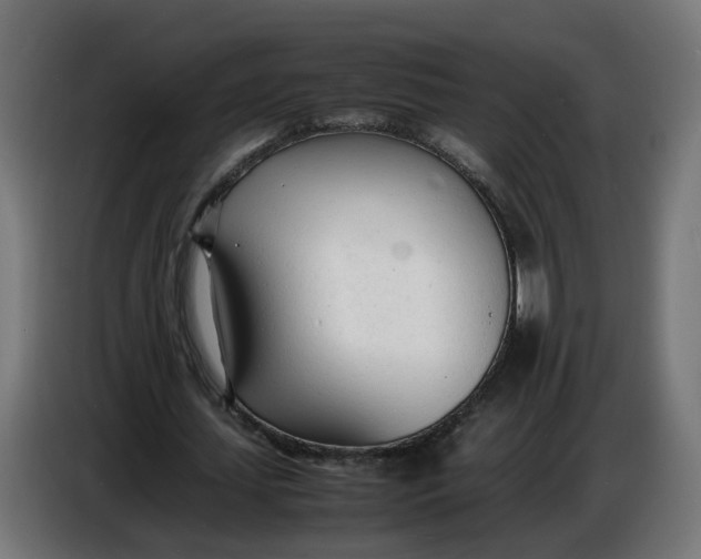 X0000086720627200705041328
