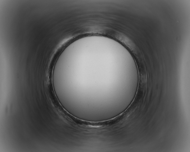 X0000086720628200705041328