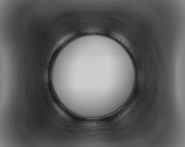 X0000086720629200705041328