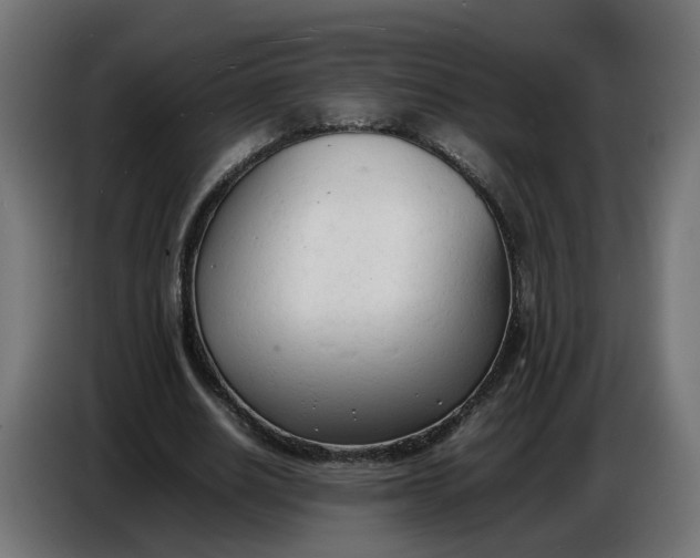 X0000086720630200705041328