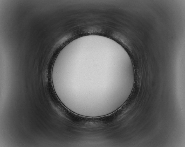X0000086720631200705041328