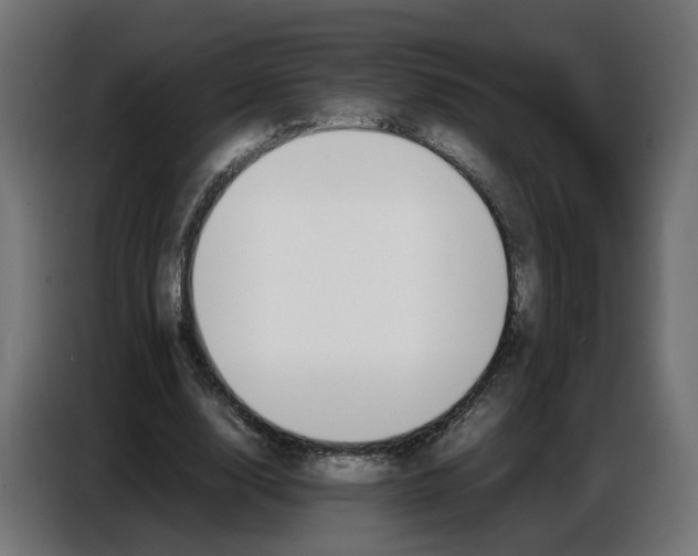 X0000086720632200705041328