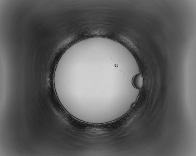 X0000086720635200705041328