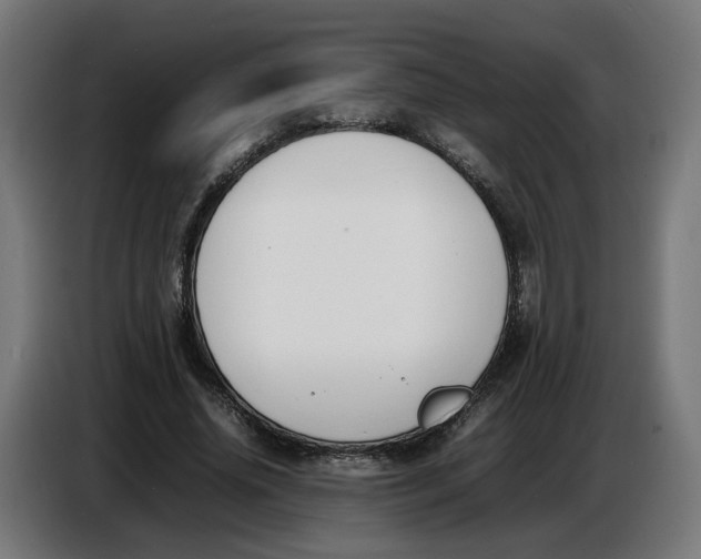 X0000086720636200705041328