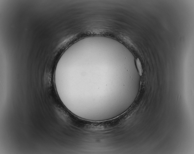 X0000086720640200705041328