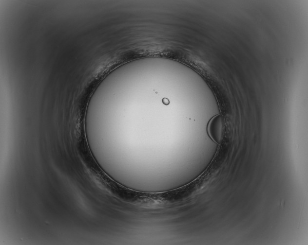 X0000086720642200705041328