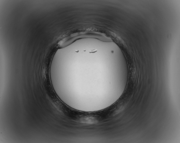 X0000086720643200705041328