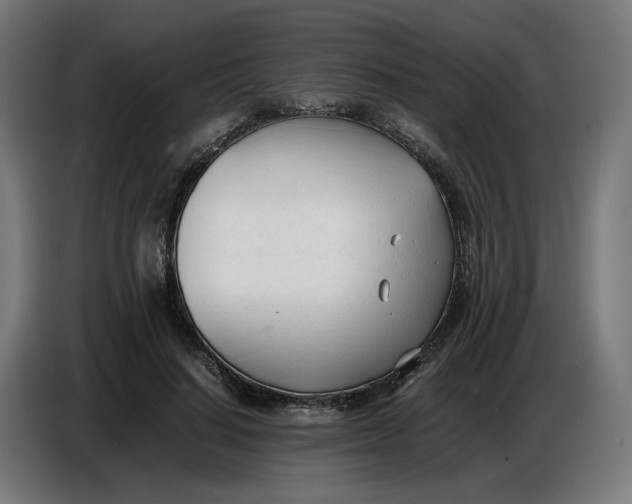 X0000086720644200705041328