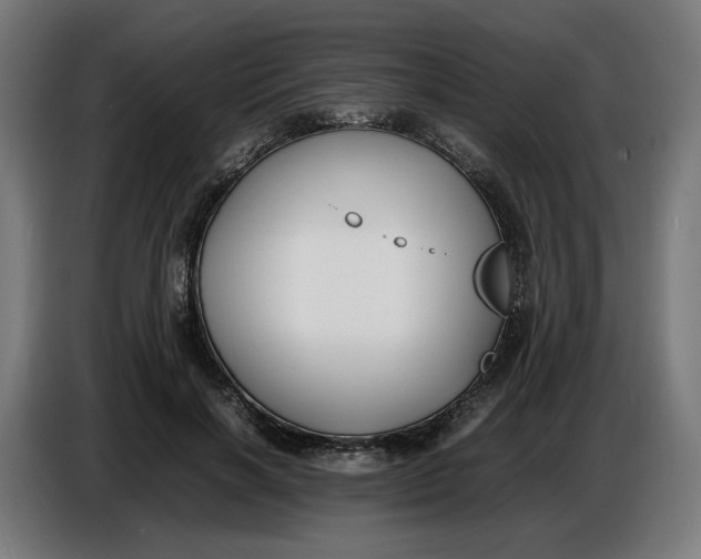 X0000086720646200705041328