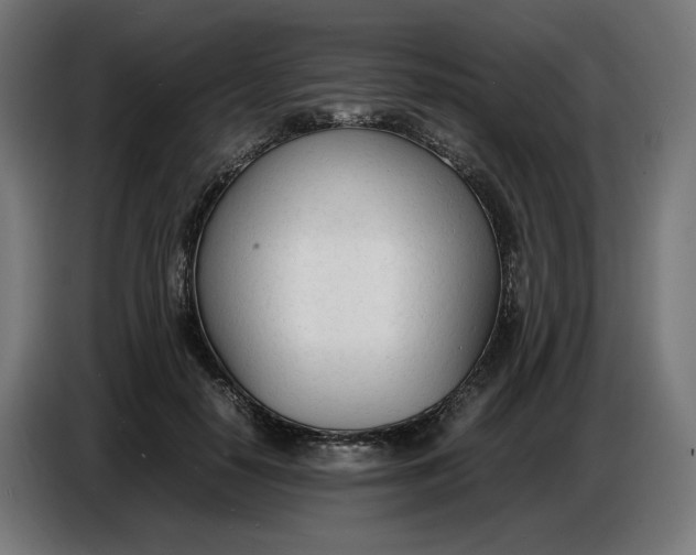 X0000086720650200705041328