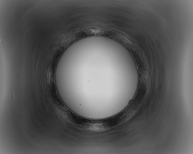 X0000086720651200705041328