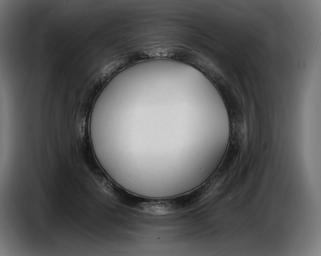 X0000086720652200705041328