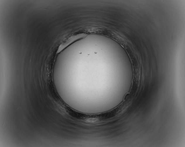 X0000086720653200705041328