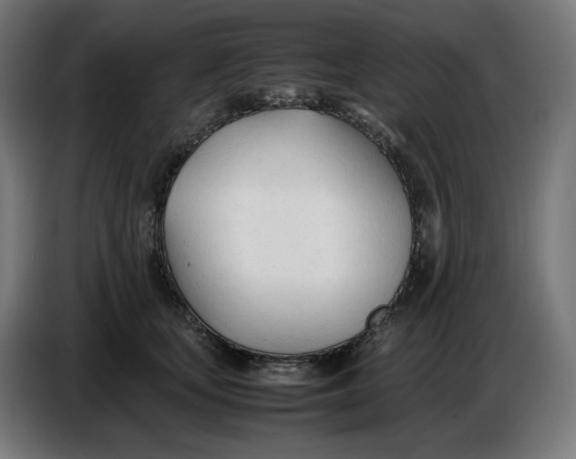X0000086720659200705041329