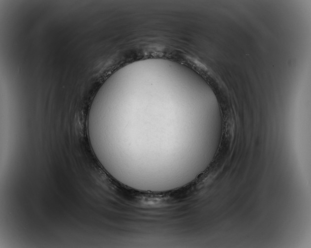 X0000086720661200705041329