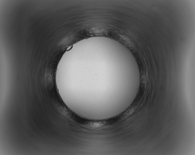 X0000086720662200705041329