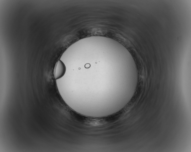 X0000086720663200705041329