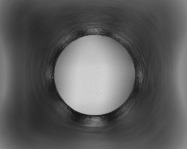 X0000086720665200705041329