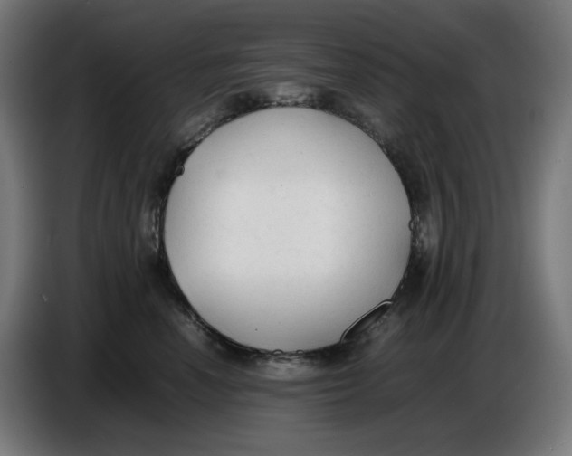 X0000086720666200705041329
